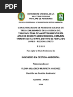 Tesis Para Libro Ylenia m. Murrieta Vásquez