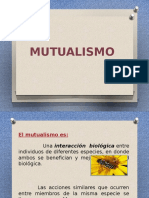 Mutualismo