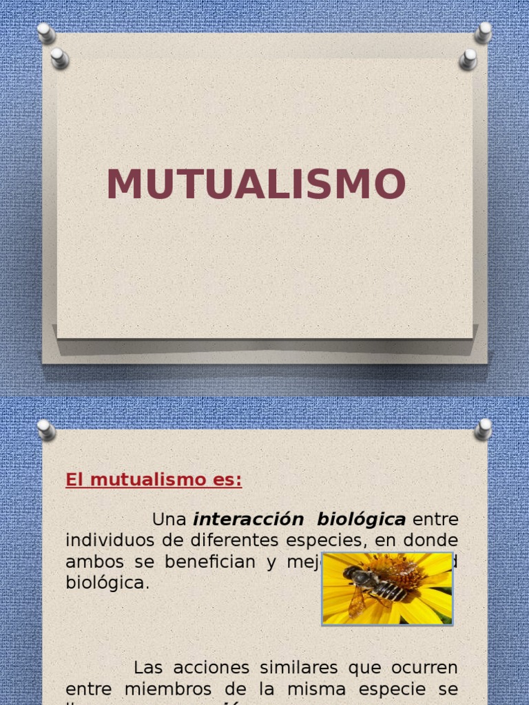 Mutualismo | PDF | Ciencias sociales | Ciencia y matemáticas