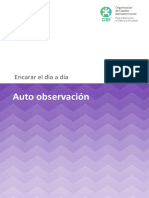 2 Auto Observacion