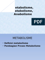 Metabolisme, Katabolisme, Anabolisme