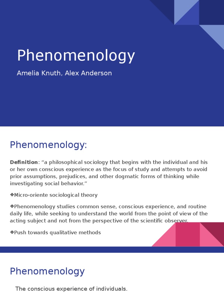 Phenomenology | PDF | Phenomenology (Philosophy) | Edmund Husserl