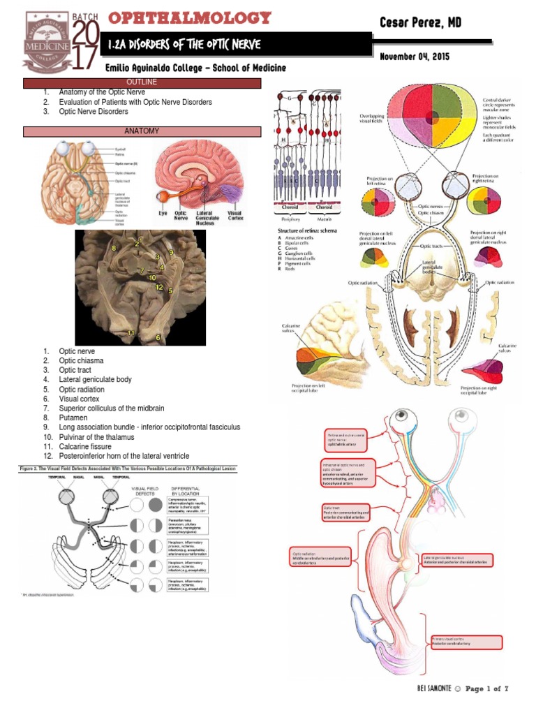 1.2a Disorders of The Optic Nerve | PDF | Peripheral Neuropathy ...