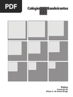 Física - Fascículo 04 - Choques, Lançamentos, Gravitação