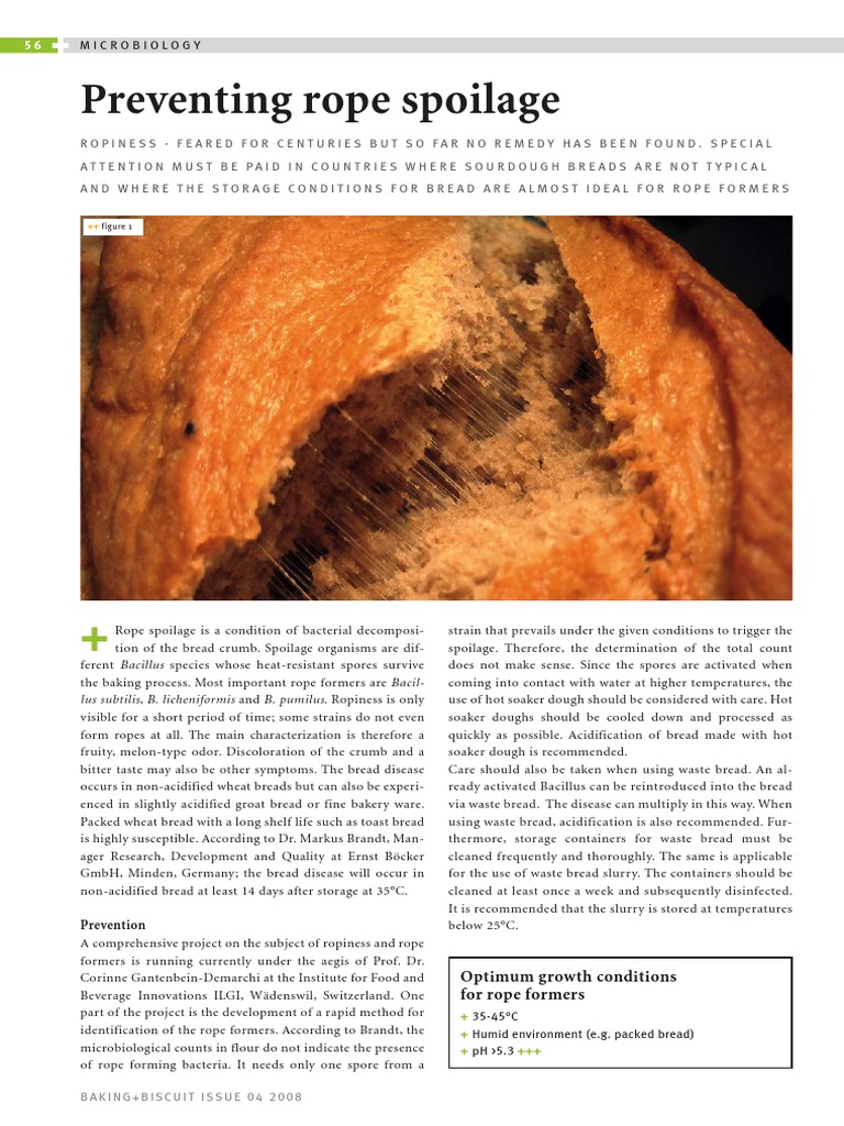 Rope Spoilage, Baking Processes