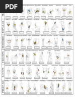 Plantilla Elaboracio n Rutinas de Entrenamiento