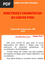 Diretrizes Gramaticais Da Língua Puri (1)