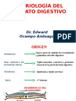 Embrio Gastrointestinal.pptx