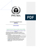 Curso de Pnuma