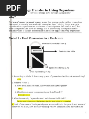 25 Energy Transfer In Living Anisms Rennel Burgos Pdf Calorie Cellular Respiration