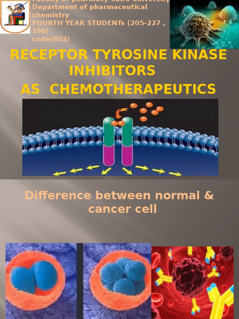 Receptor Tyrosine Kinase Inhibitors | PDF | Enzyme Inhibitor | Active Site