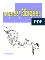 ovogenesis y foliculogenesis.pdf