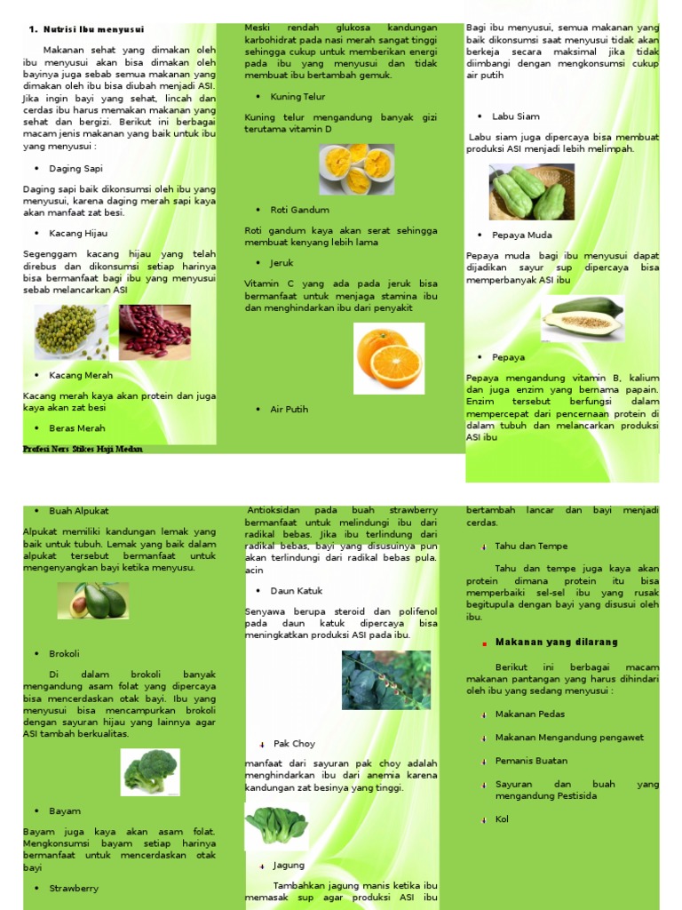 Nutrisi Ibu Menyusui Leaflet