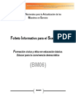 BM06 PDF