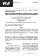 New Observations of the Colpodid Ciliate Ottowphrya Dragescoi %28Ciliophora%2C