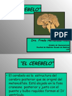 El Cerebelo 