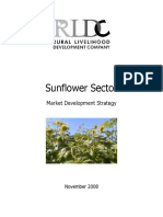 Sunflower Sector Market Strategy