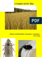 09 - Entomologija Za Ratare, Strna Zita I Kukuruz, 2015
