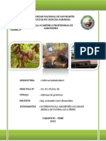 Informe Final de Cultivos Industriales I Practicas