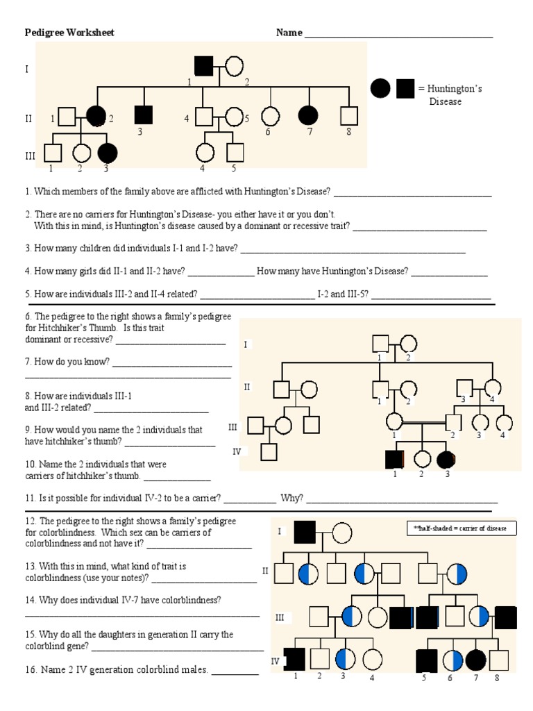 Worksheets Pedigree Worksheet pedigree worksheet zygosity dominance genetics