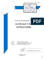 1°-Guía-Actividades-3