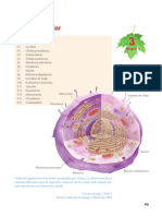 biol1_b3.pdf