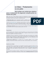 Florais Cães Tratamento Ansiedade