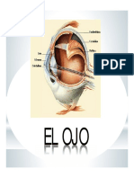 el ojo