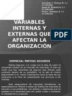 Variables Internas y Externas Que Afectan La Organización