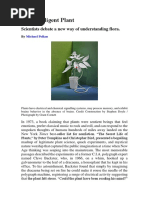 The Intelligent Plant