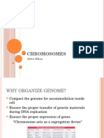 Lecture 1 - Chromosome & Genome