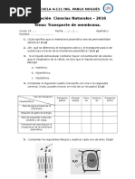 Evaluación Transp de MMB