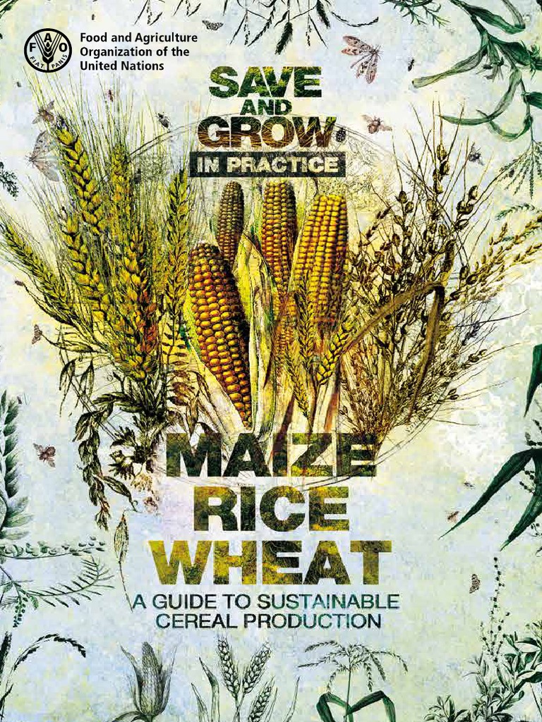 Save and Grow Maize Rice Wheat Green Revolution Agriculture