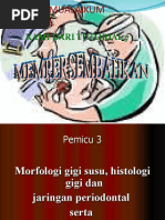 Download Anatomi Dan Morfologi Gigi Desidui by Rizky Darmawan SN31980209 doc pdf