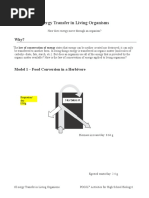 energy transfer in living organisms-nats