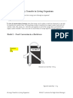 Energy Transfer in Living Organisms-Nats