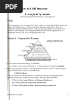 26 Ecological Pyramids-Natalia