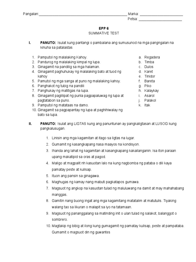1st Summative Test EPP 6 | PDF