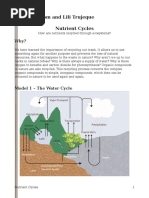 nutrient cycles pogil-natalia