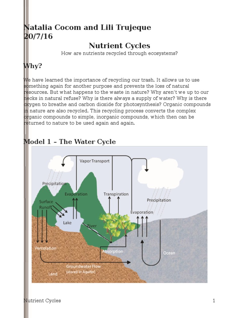 Nutrient Cycles Pogil-Natalia  Carbon Dioxide In Earth