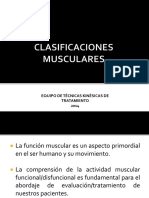 Clasificación Muscular