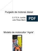 purgado_de_motores_diesel.pdf