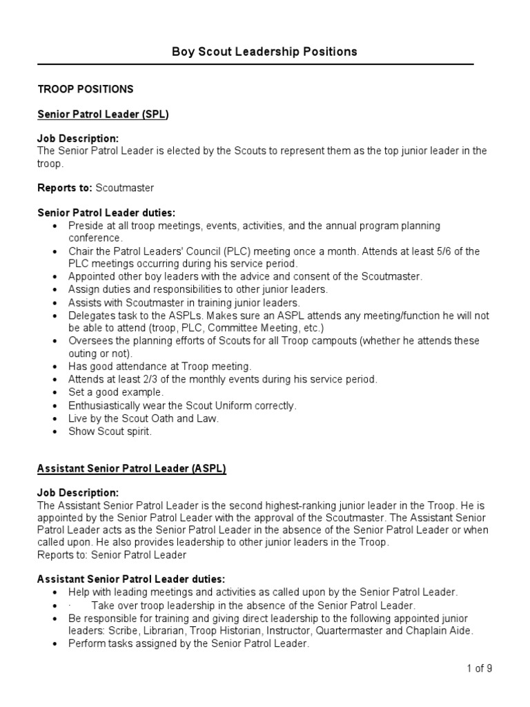 Troop leadership patches