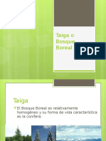 Taiga o Bosque Boreal