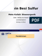 Protein Besi Sulfur