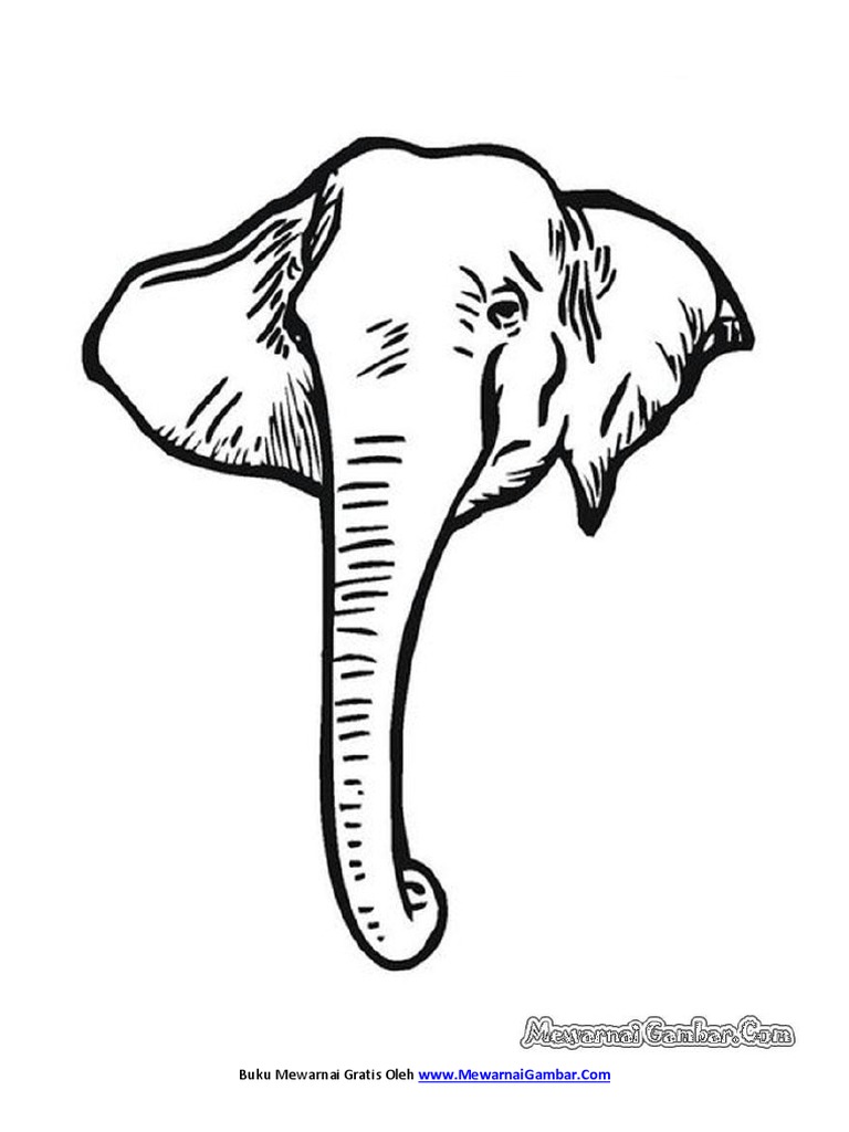Cara Mewarnai Gambar Gajah