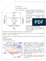 Problema 1tutoria