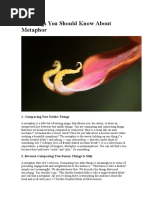 25 Things You Should Know About Metaphor
