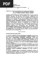 Dda de Nulidad Matrimonio