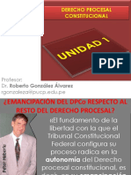 Dpco Particularidades Del Proceso Constitucional PDF
